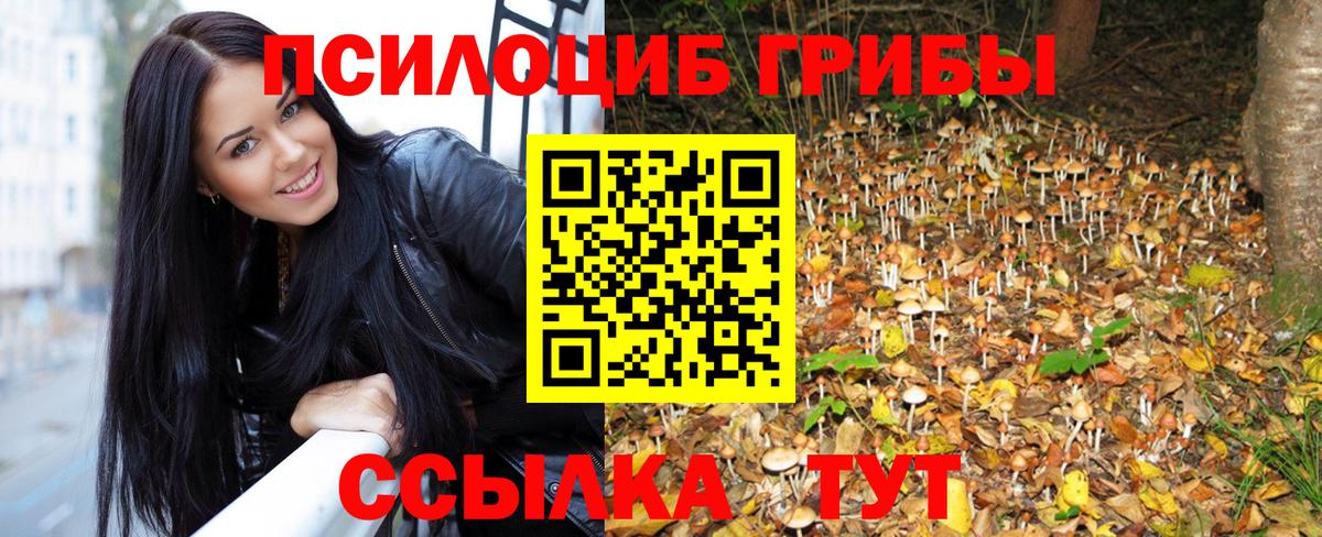 Тайшет  Галлюциногенные грибы мицелий  Вход с VPN 