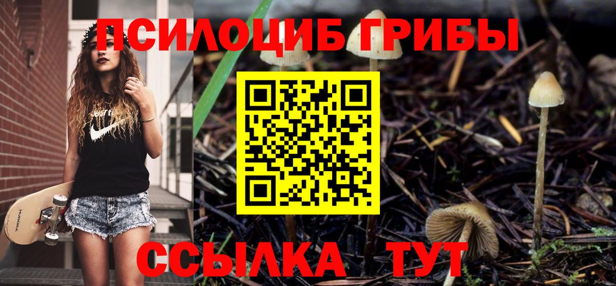 Галлюциногенные грибы Cubensis Тайшет
